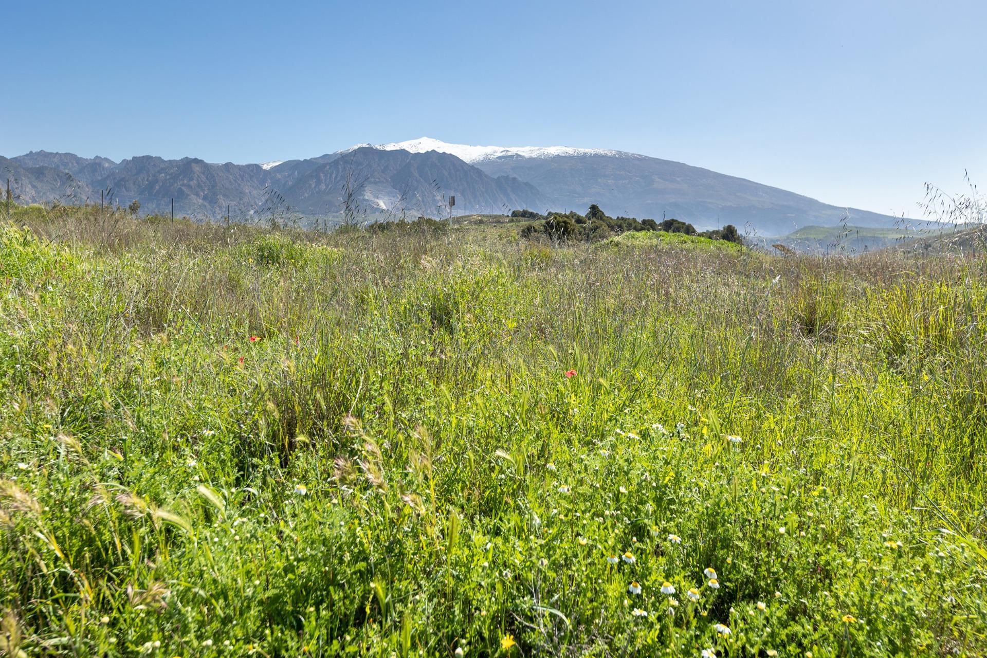 Terreno rural