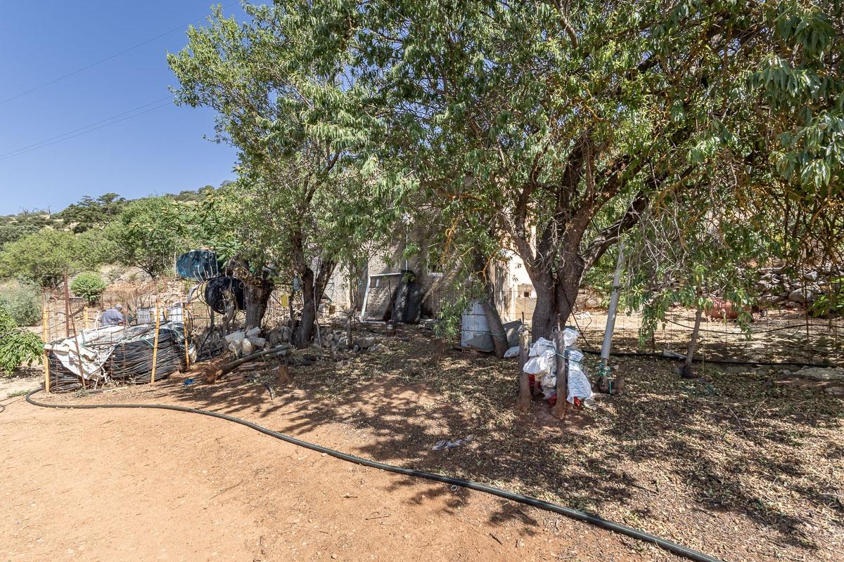 Terreno rural