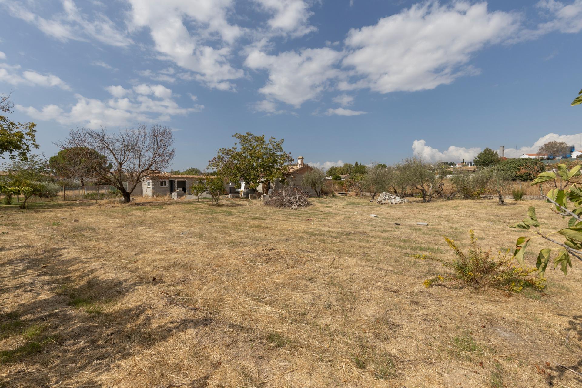 Casa con terreno