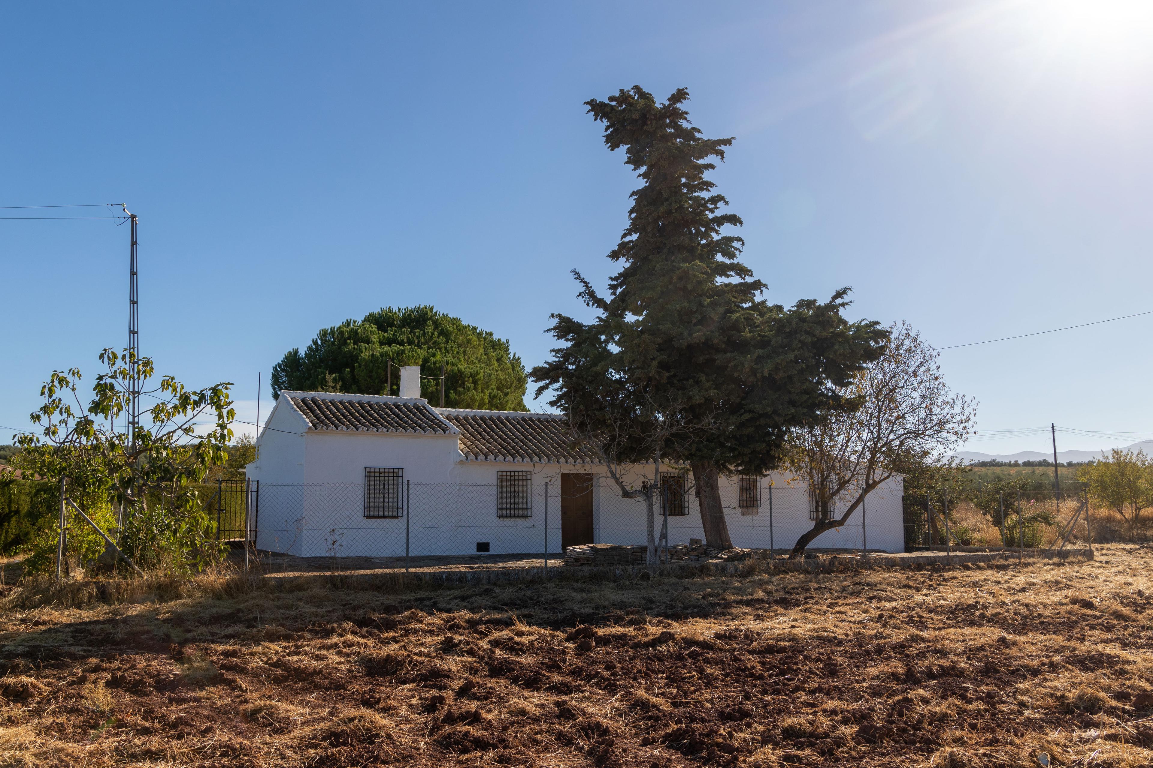 Terreno rural