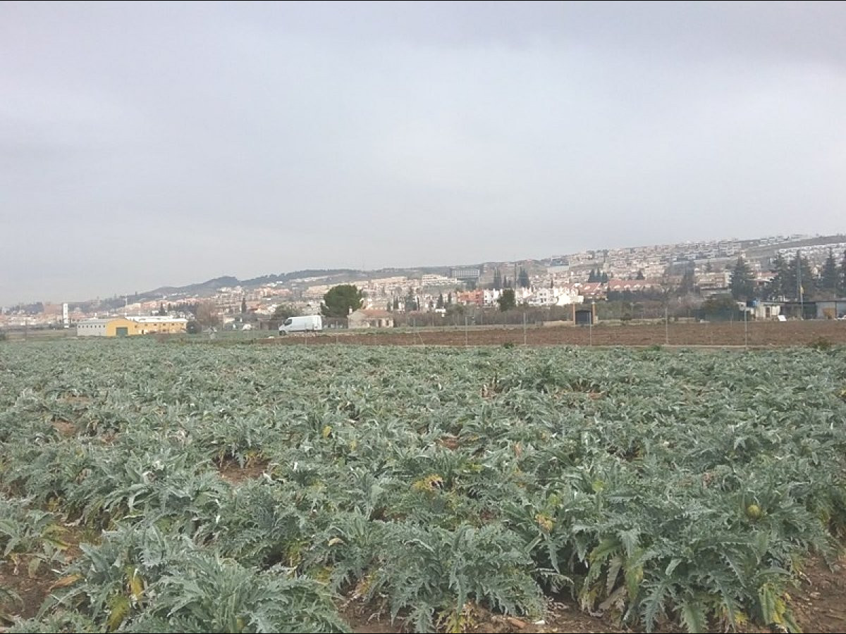 Terreno rural