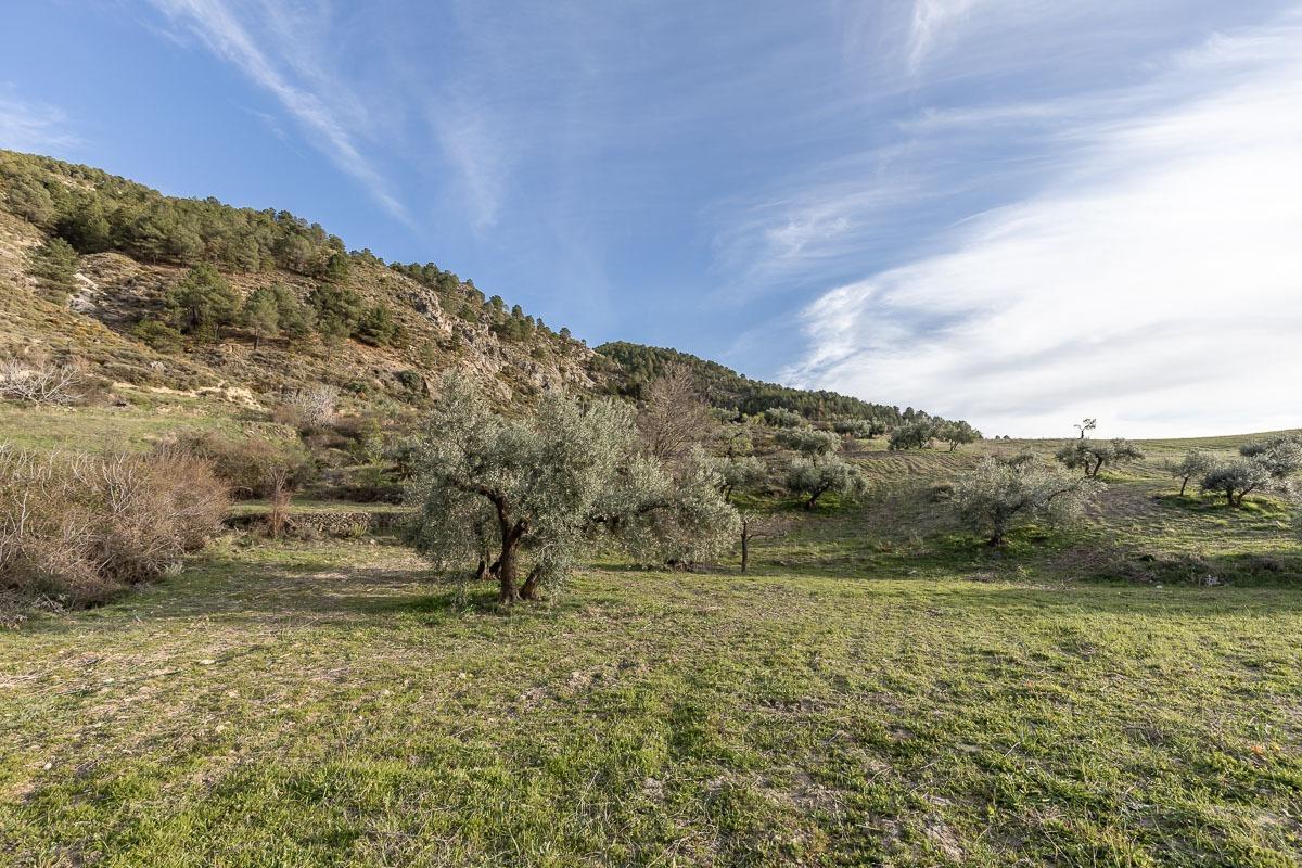 Terreno rural