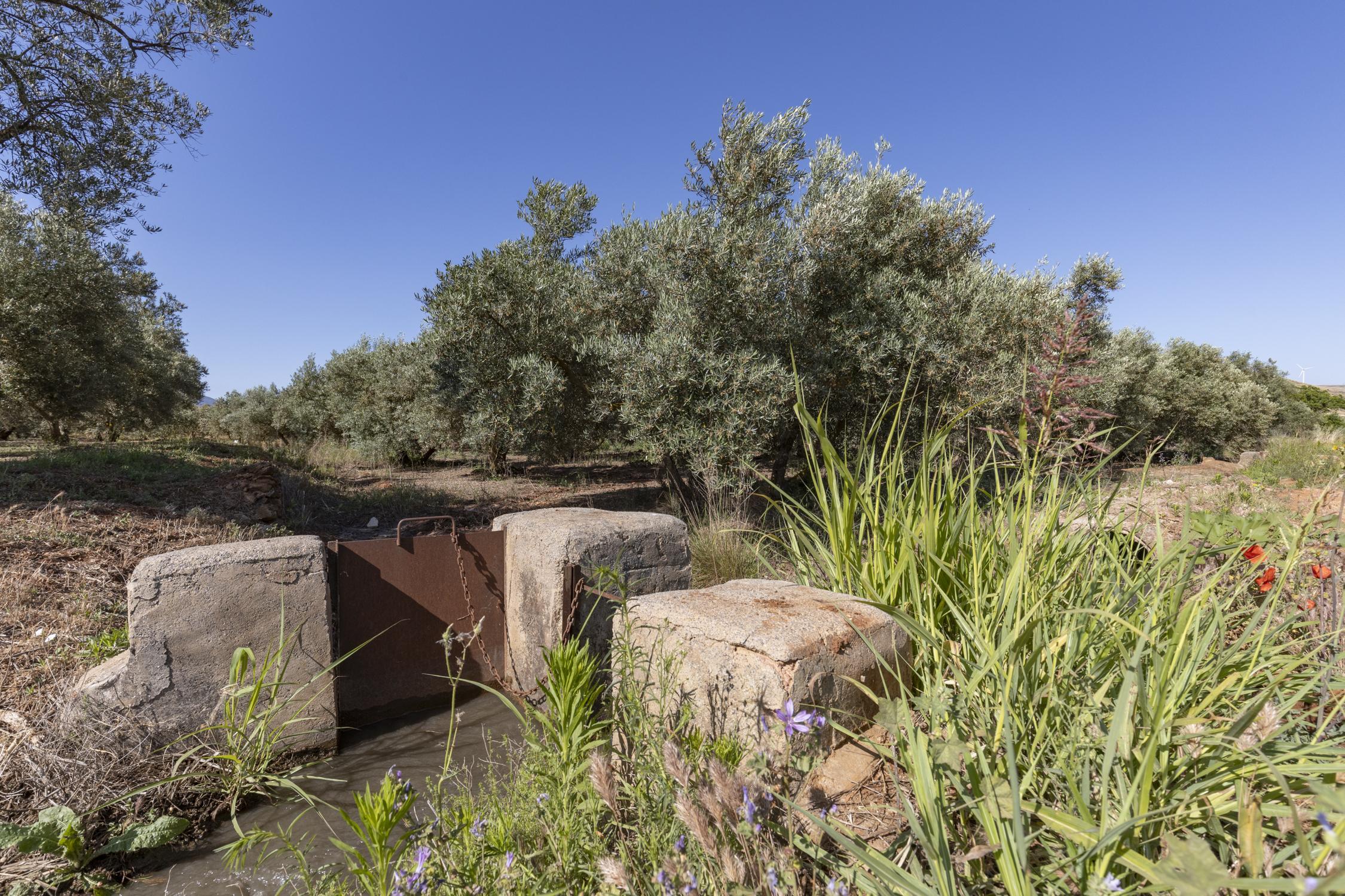 Terreno rural