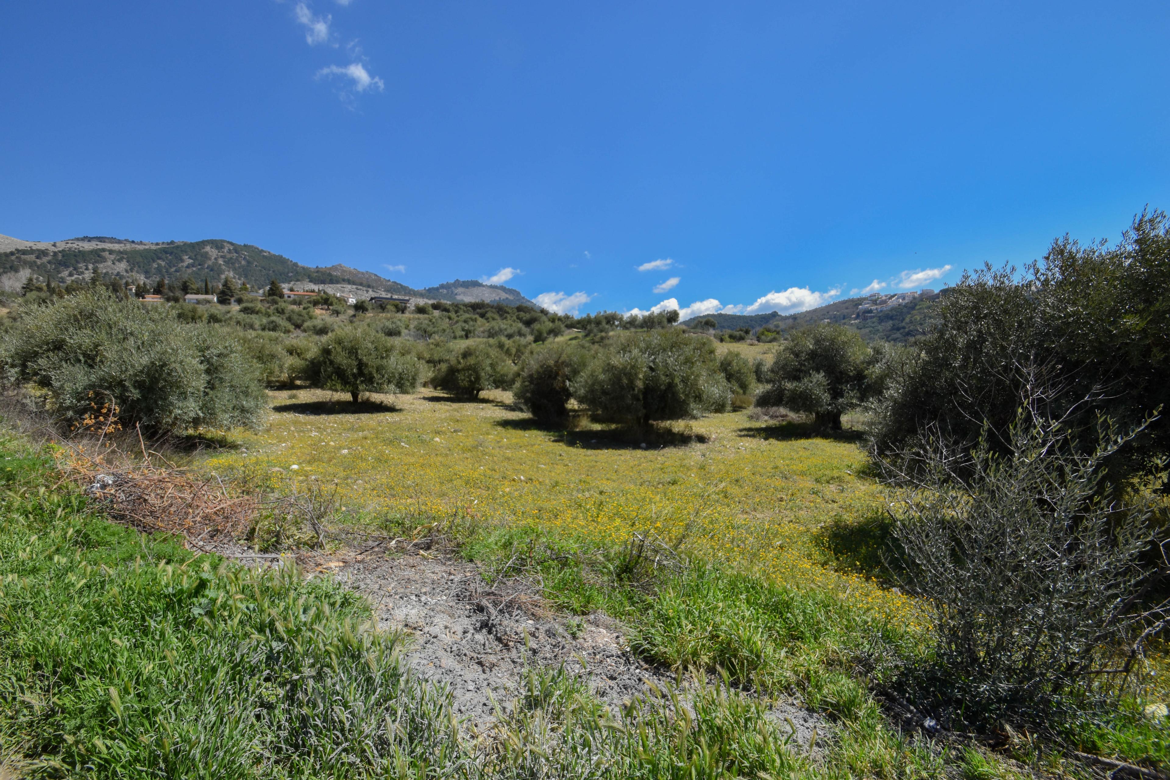 Terreno rural