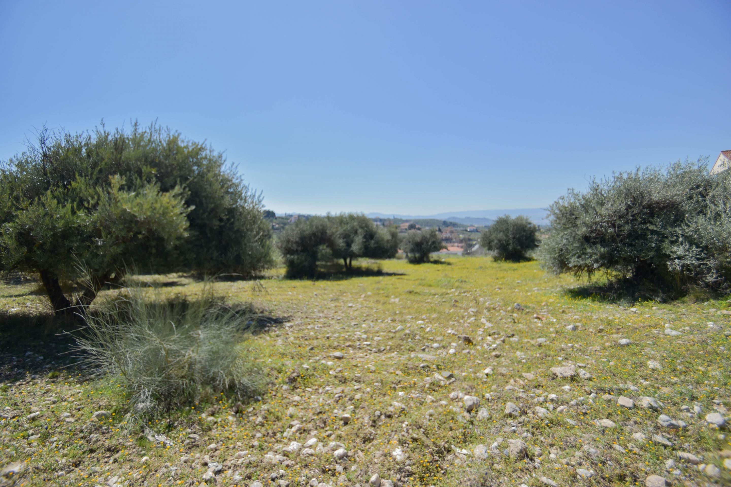 Terreno rural