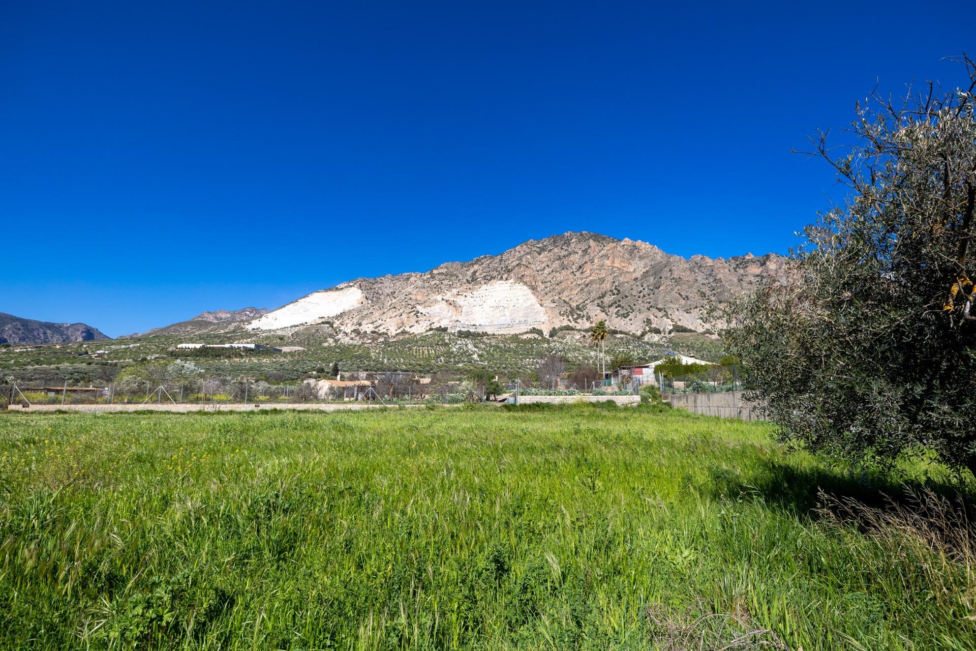 Terreno rural
