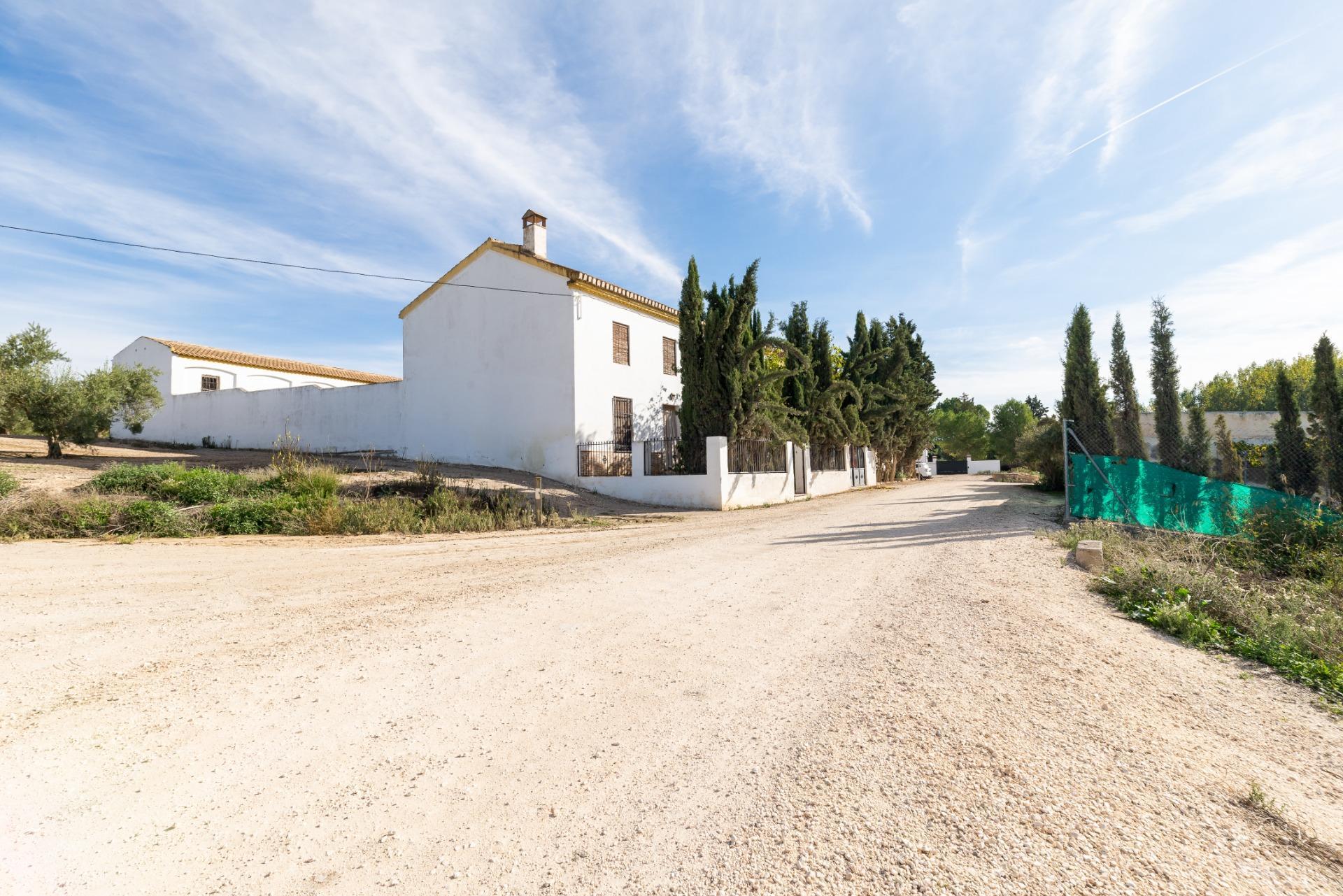 Casa amb terreny